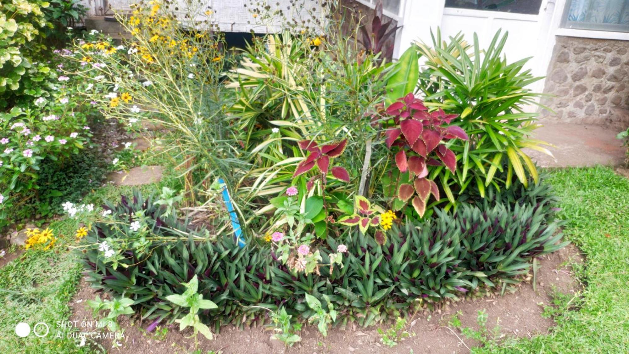 Sun House Rental Mambajao Exterior photo